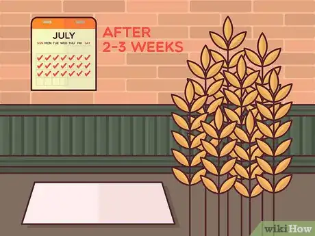 Image titled Harvest Barley Step 6