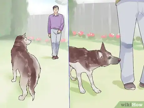 Image titled Introduce Your New Dog to the Neighbors Step 8
