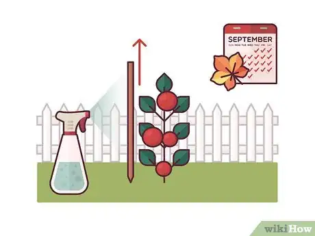 Image titled Stake Tomato Plants Step 8