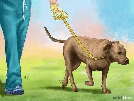 Image titled Keep a Pitbull Step 2