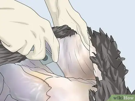 Image titled Dress a Turkey Step 6