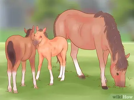 Image titled Wean a Foal Step 4
