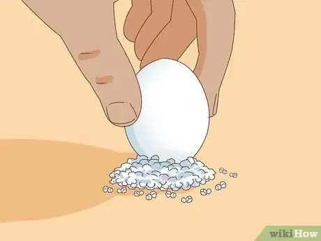 Image titled Balance an Egg Step 3