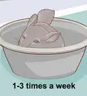 Give a Chinchilla a Dust Bath
