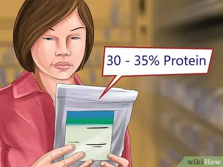 Image titled Adopt a Sporting Dog Step 10