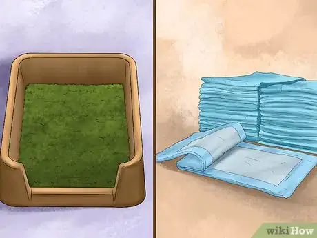 Image titled Deal with House Soiling in Older Dogs Step 3