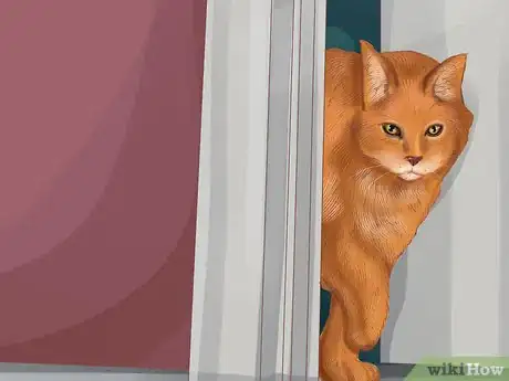 Image titled Socialize a Fearful Cat Step 3