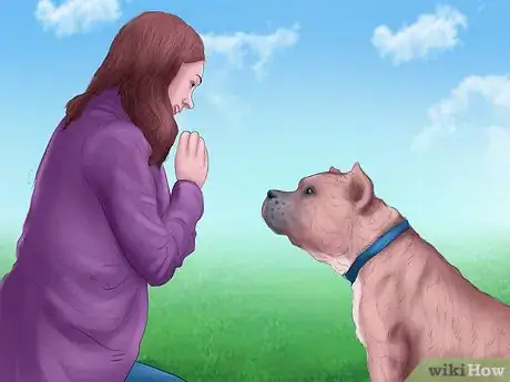 Image titled Keep a Pitbull Step 9