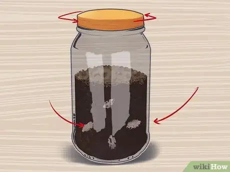 Image titled Plant a Plum Seed Step 10