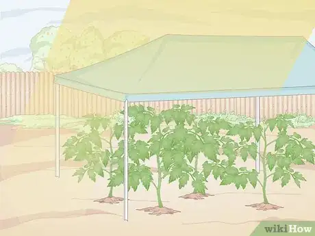 Image titled Prevent Spider Mites Step 4