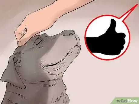 Image titled Become Close With Your Dog Step 11