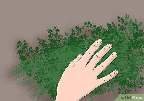 Image titled Make Tabletop Christmas Trees Step 1