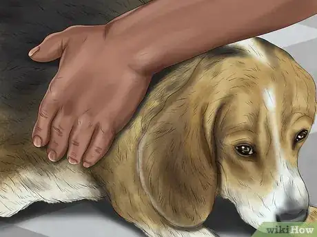 Image titled Ensure the Health of a Lost Pet After Finding It Step 3