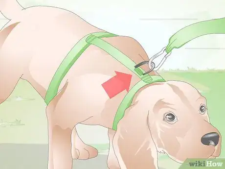 Image titled Choose the Right Harness for Your Dog Step 2