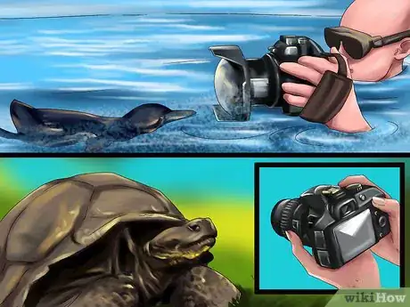 Image titled Choose a Vacation Destination for Animal Lovers Step 11