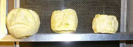 Image titled Heads coming out... the one on the far left is only half dried.