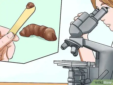 Image titled Diagnose Tapeworms in Cats Step 7