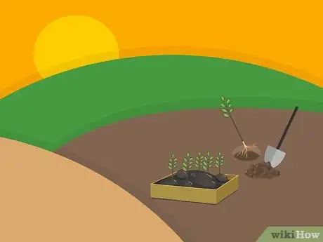 Image titled Plant Night Blooming Jasmine Step 10