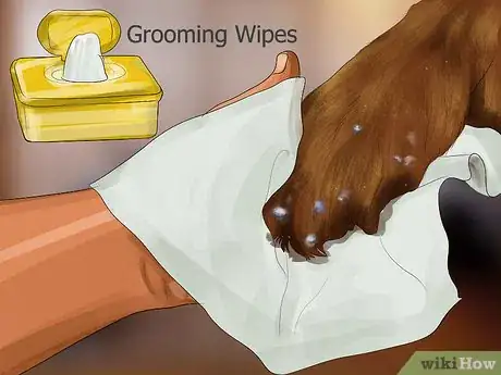 Image titled Get Dog Smell Out of the Carpet Step 10