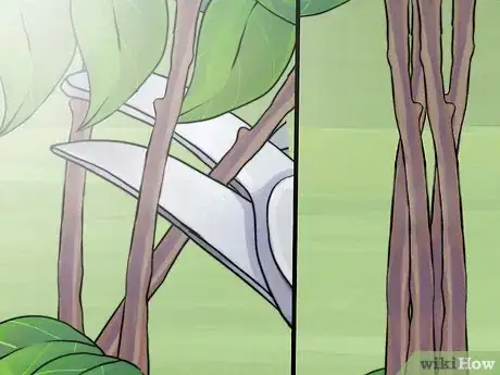 Image titled Prune Spirea Shrubs Step 7