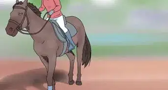 Prepare for Your First Horse Riding Lesson