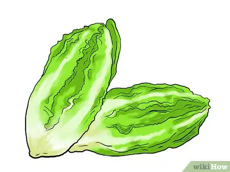 Image titled Grow Lettuce Indoors Step 1