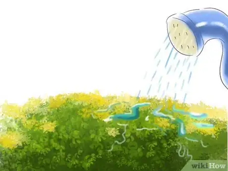 Image titled Grow St John's Wort Step 5