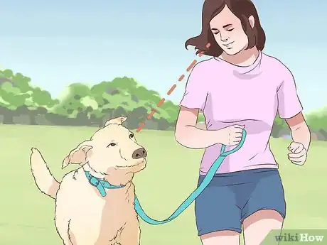 Image titled Exercise With Your Dog Step 9