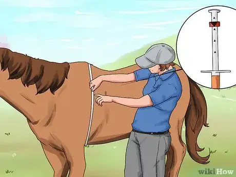 Image titled Deworm a Horse Step 4