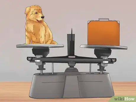 Image titled Choose a Puppy Step 3