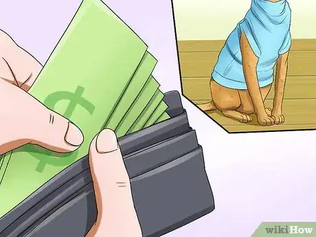 Image titled Measure Clothing for Your Cat Step 5