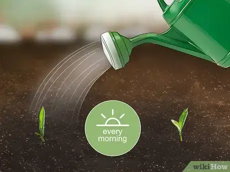 Image titled Plant Liatris Step 12