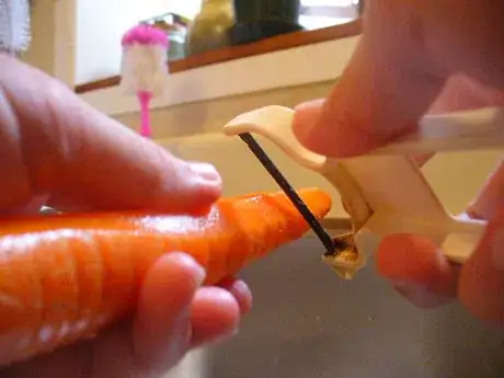 Image titled P1020409_207.JPG