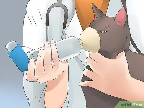Image titled Diagnose a Cat Cough Step 15