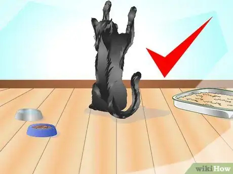 Image titled Introduce a Cat to a New Home Step 16