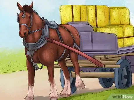 Image titled Spot Ulcer Symptoms in Horses Step 6