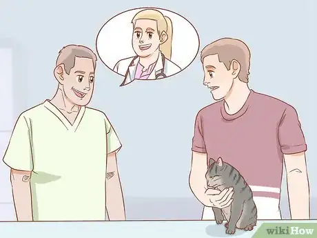 Image titled Get a Veterinary Second Opinion for Your Cat Step 8