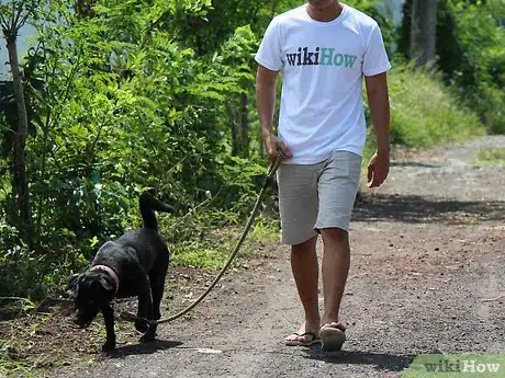 Image titled Tame Your Dog Step 4