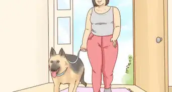 Adopt a German Shepherd