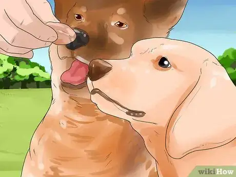 Image titled Walk Two Dogs Step 14