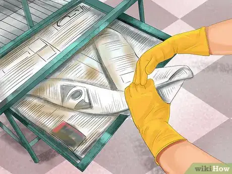 Image titled Prevent Infections in Parakeets Step 6