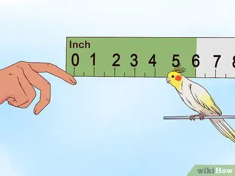 Image titled Train Cockatiels Step 13