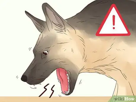 Image titled Stop a Dog from Eating Too Fast Step 13