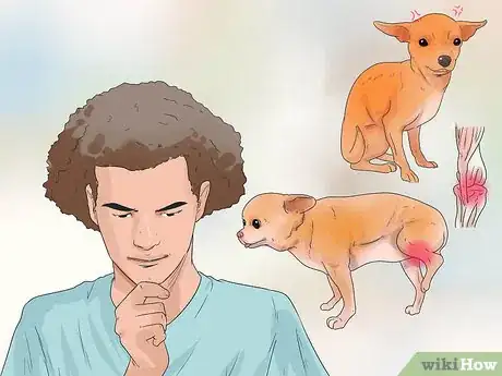 Image titled Understand Small Dog Syndrome Step 8