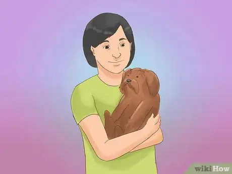 Image titled Take Care of a Shih Tzu Step 13