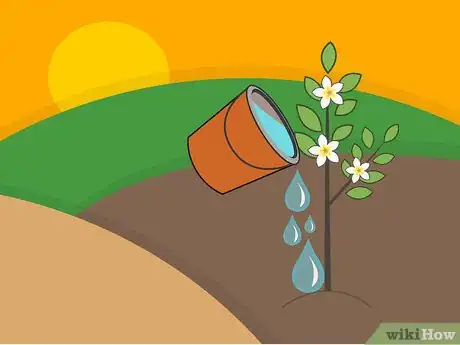 Image titled Plant Night Blooming Jasmine Step 11