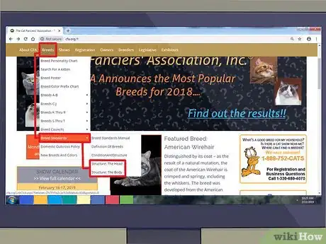 Image titled Raise Angora Cats Step 3