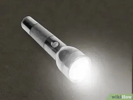 Image titled Make an Insect Catching Kit Step 6