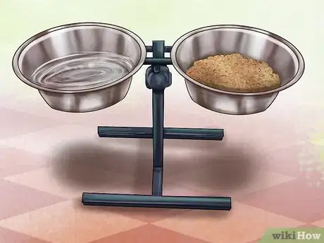 Image titled Care for a Greyhound Step 11