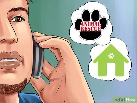 Image titled Find Safe Placement for Your Cat After Foreclosure Step 3